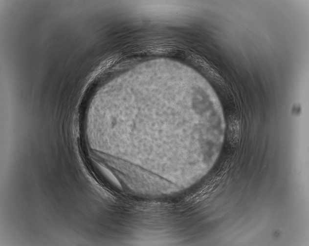 X0000097880734200804110950