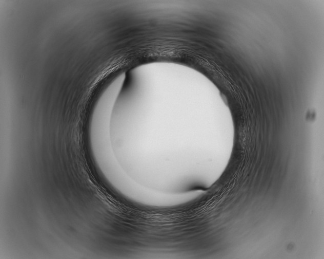 X0000097880735200804110950