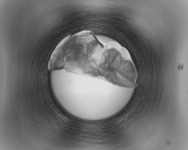 X0000097880737200804110950