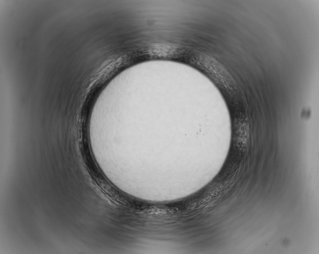 X0000097880738200804110950