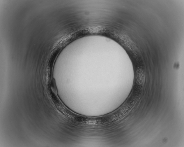 X0000097880740200804110950