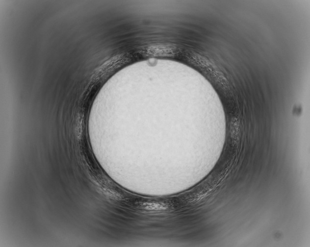 X0000097880741200804110950