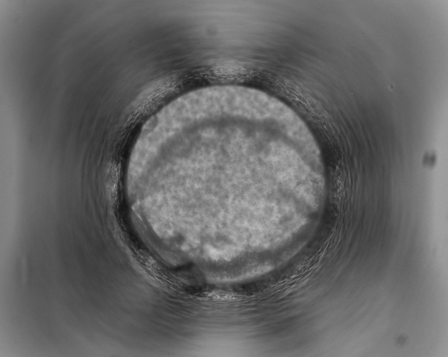 X0000097880742200804110950