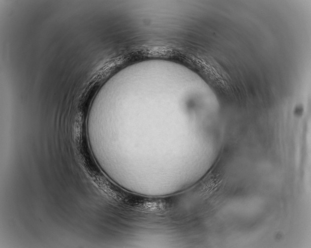 X0000097880744200804110950