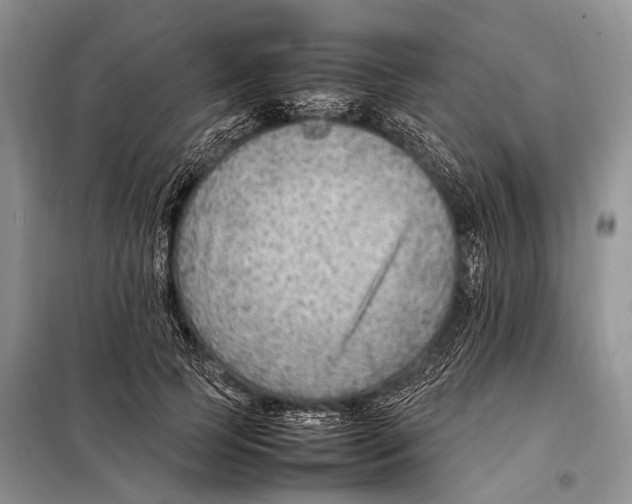 X0000097880745200804110950