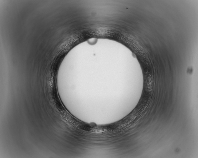 X0000097880746200804110950