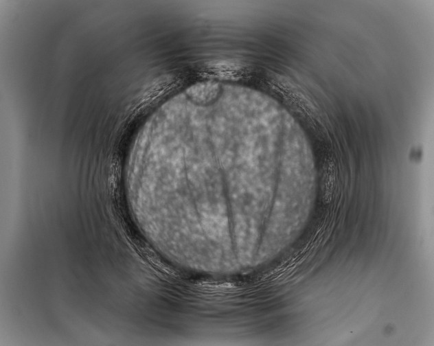 X0000097880747200804110950