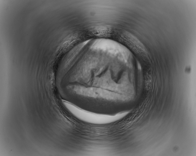 X0000097880748200804110950