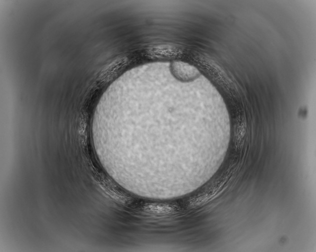 X0000097880749200804110950