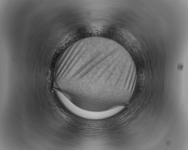 X0000097880750200804110950