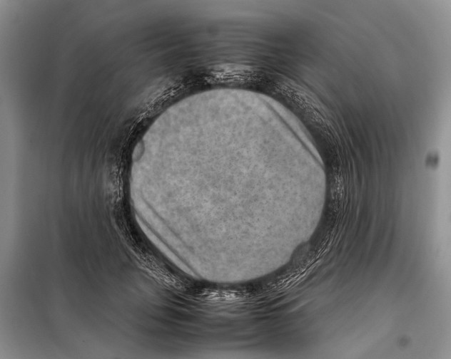 X0000097880751200804110950