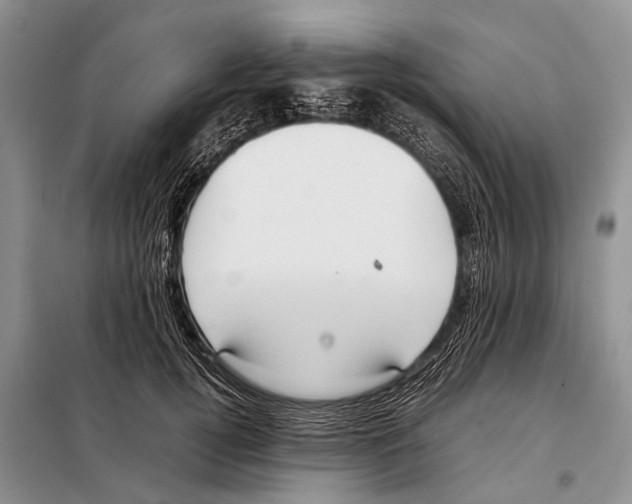 X0000097880752200804110950