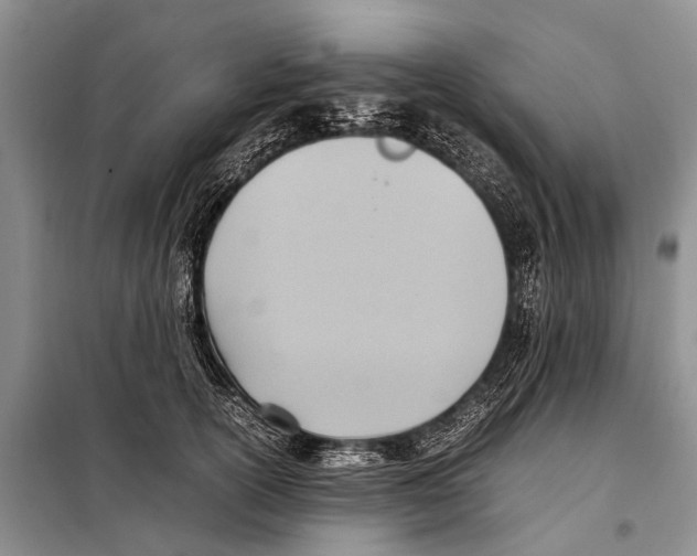 X0000097880754200804110950