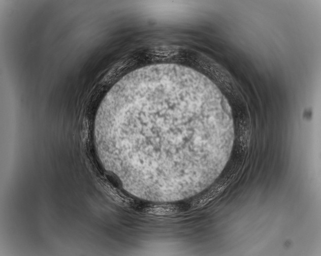 X0000097880758200804110950