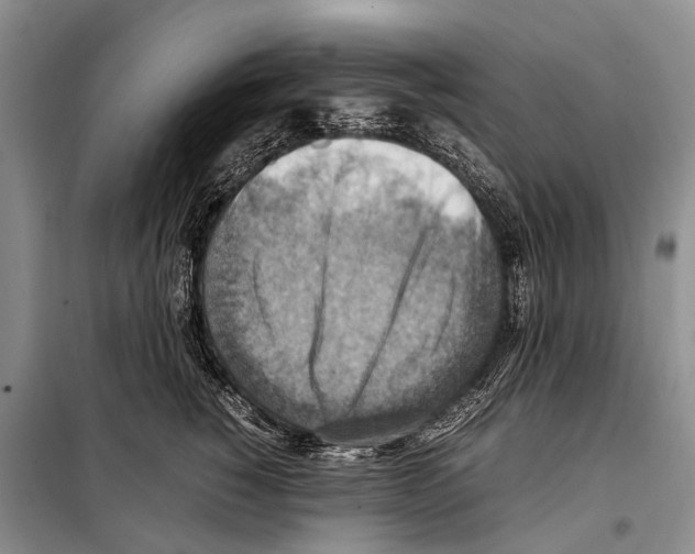 X0000097880760200804110950