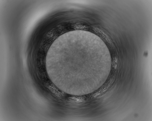 X0000097880763200804110950