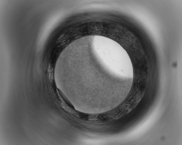 X0000097880766200804110951