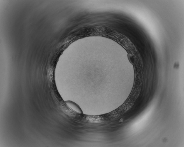 X0000097880767200804110951