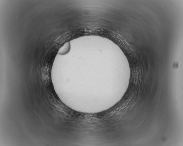 X0000097880770200804110950