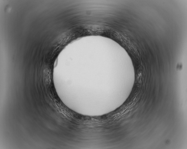 X0000097880772200804110950