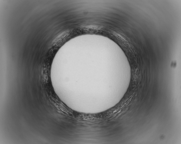 X0000097880774200804110950