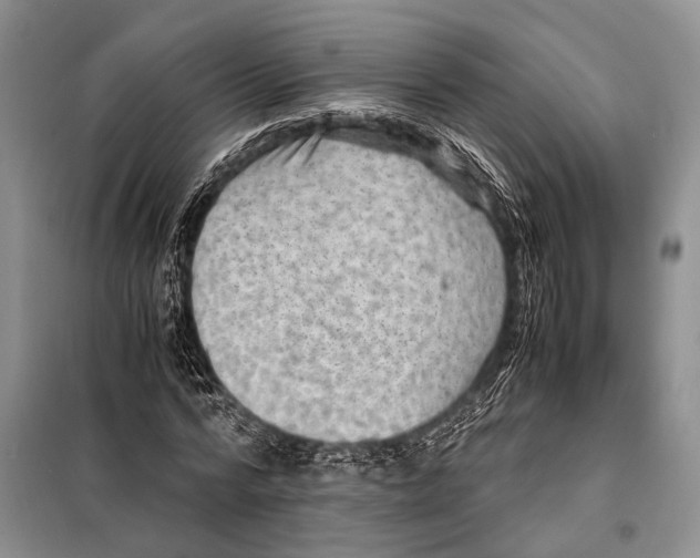 X0000097880776200804110950