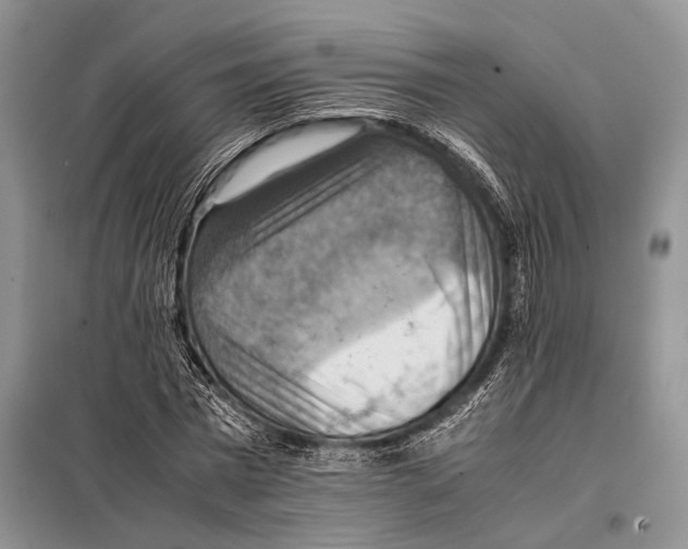 X0000097880777200804110950