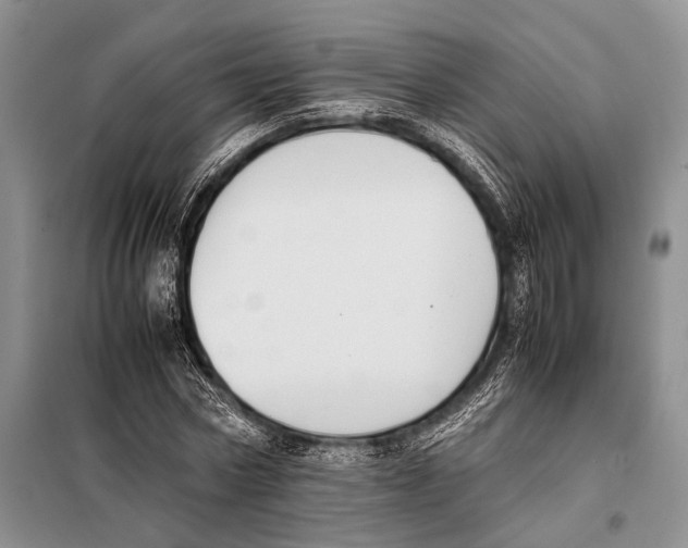 X0000097880778200804110950