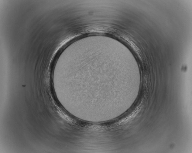 X0000097880779200804110950