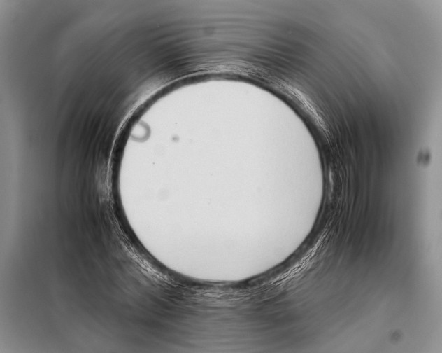 X0000097880780200804110950