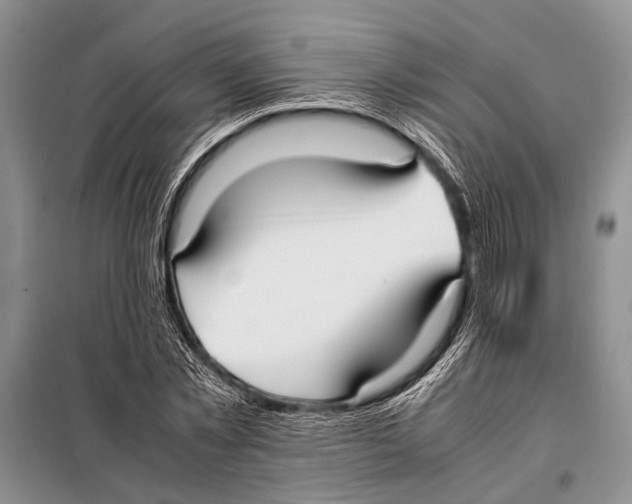 X0000097880781200804110950