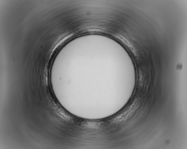 X0000097880782200804110950