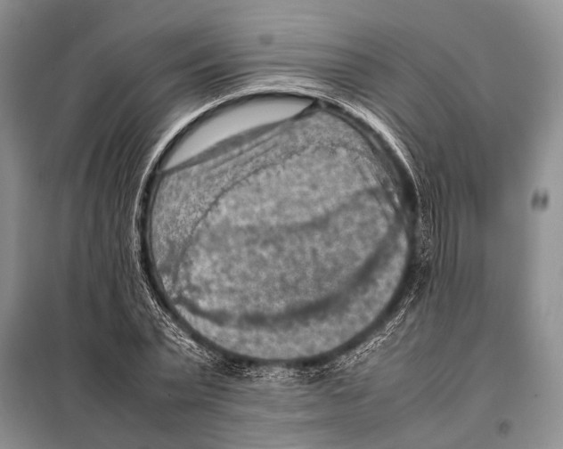 X0000097880783200804110950