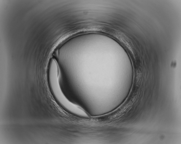 X0000097880789200804110949