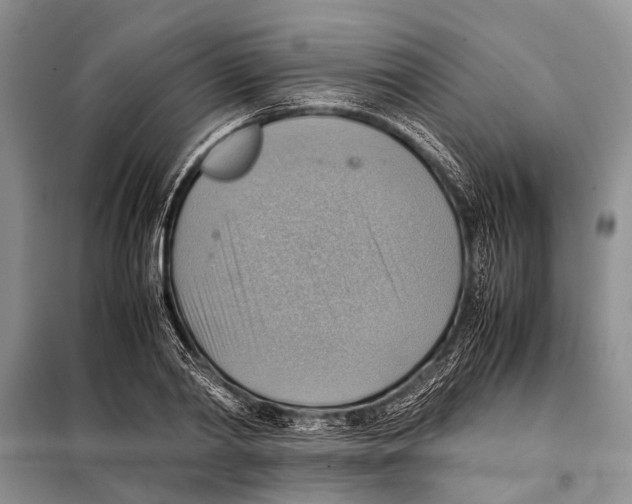 X0000097880790200804110949