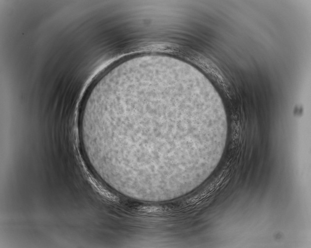 X0000097880792200804110949