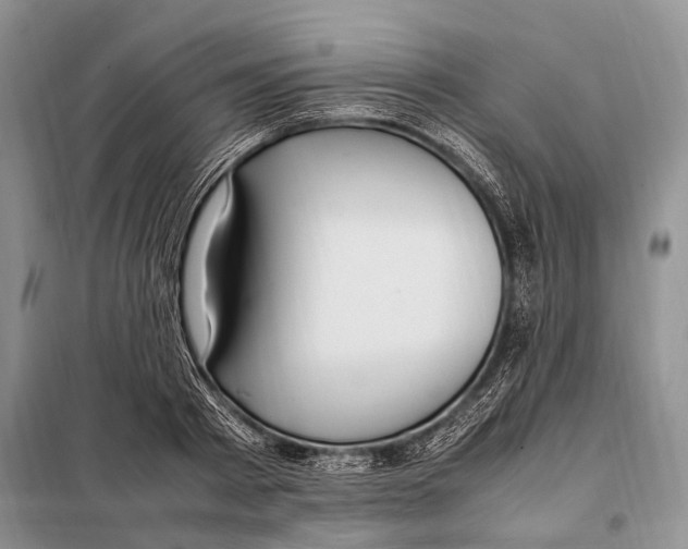 X0000097880793200804110949