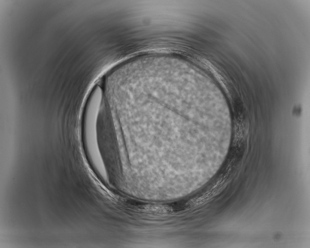 X0000097880795200804110949