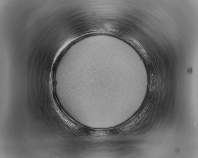 X0000097880796200804110949