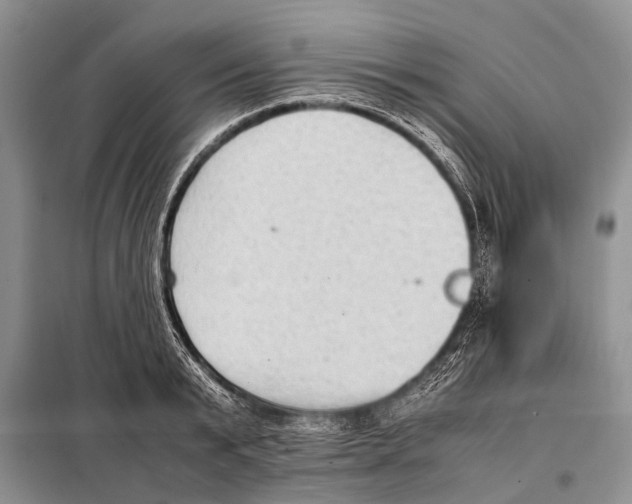 X0000097880799200804110949