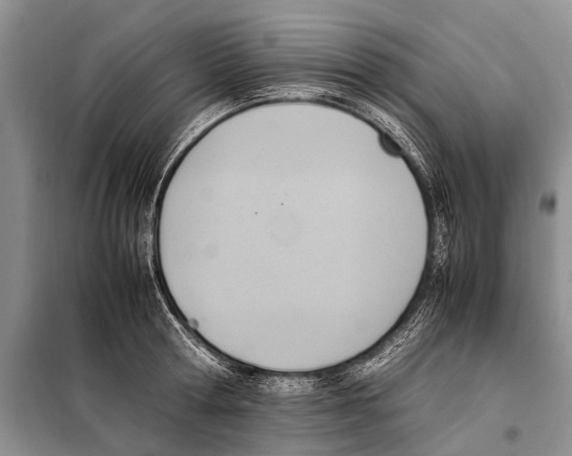 X0000097880802200804110949