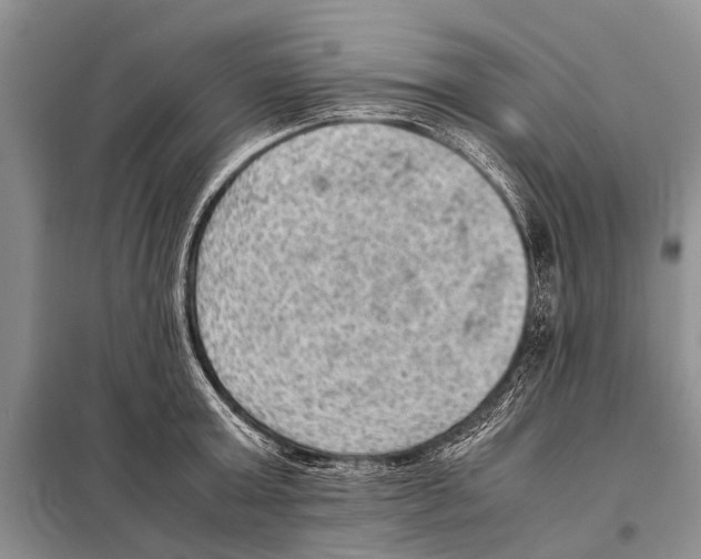 X0000097880803200804110949