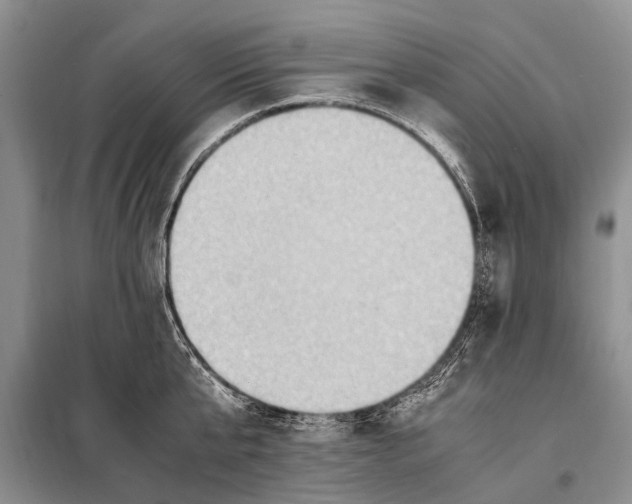 X0000097880807200804110949