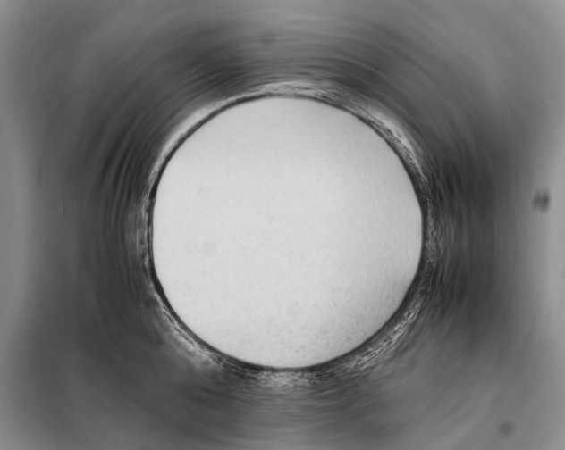 X0000097880808200804110949