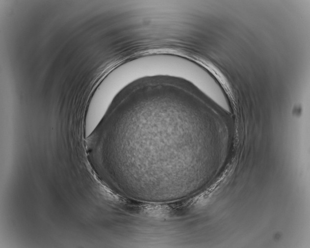 X0000097880809200804110949