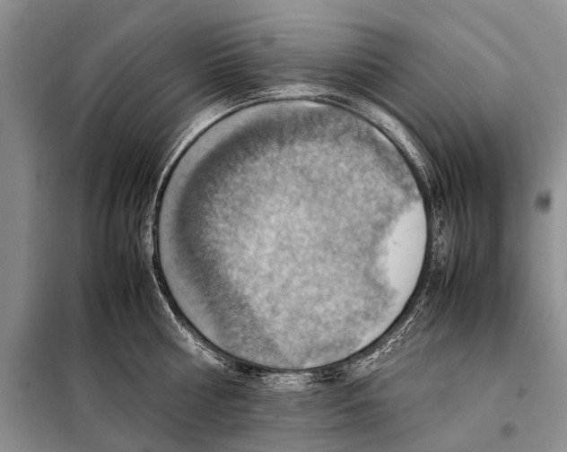 X0000097880810200804110949