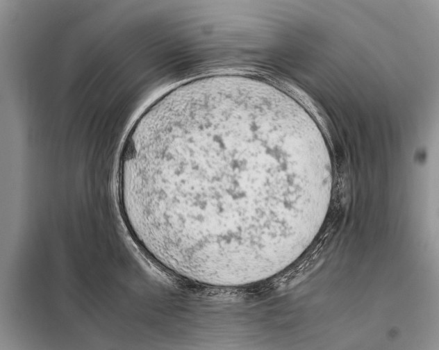 X0000097880811200804110949