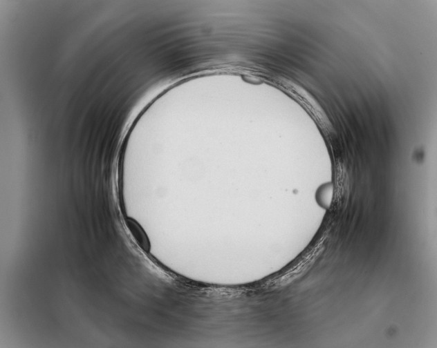 X0000097880812200804110949