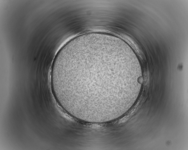 X0000097880814200804110949