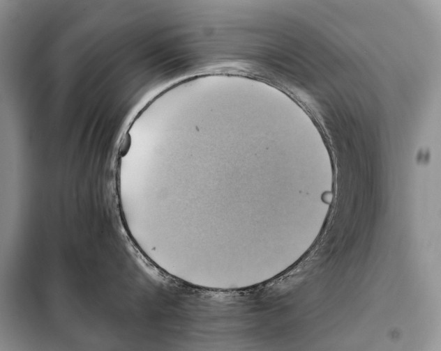 X0000097880816200804110949